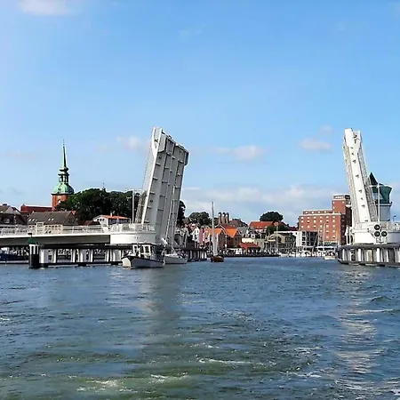 Zitroneninsel *